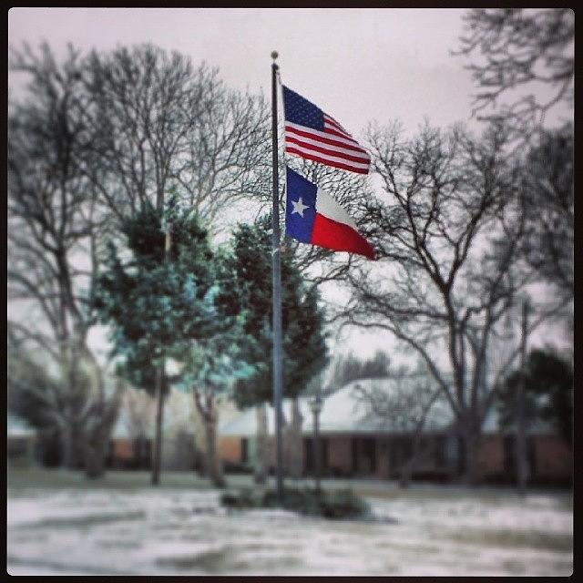 Winter Photograph - Finished #photo.

#flag #usa #texas by Tessa Howington