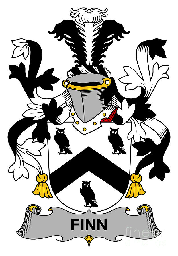 Finn Coat of Arms Irish Digital Art by Heraldry - Pixels