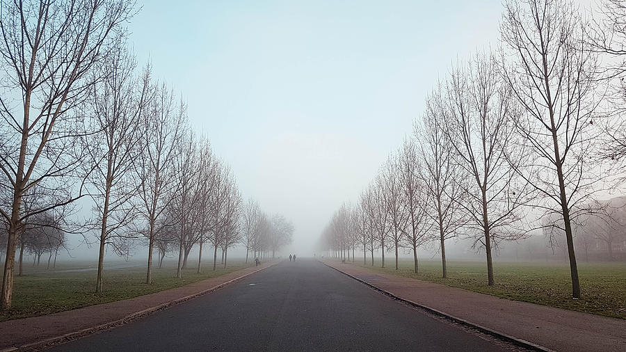 Finsbury Park in the fog, London Photograph by Giulia Fiori Photography