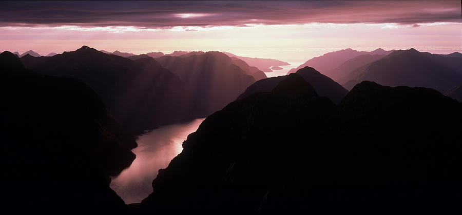Fiordland National Park Photograph - Fiordland National Park New Zealand by Panoramic Images