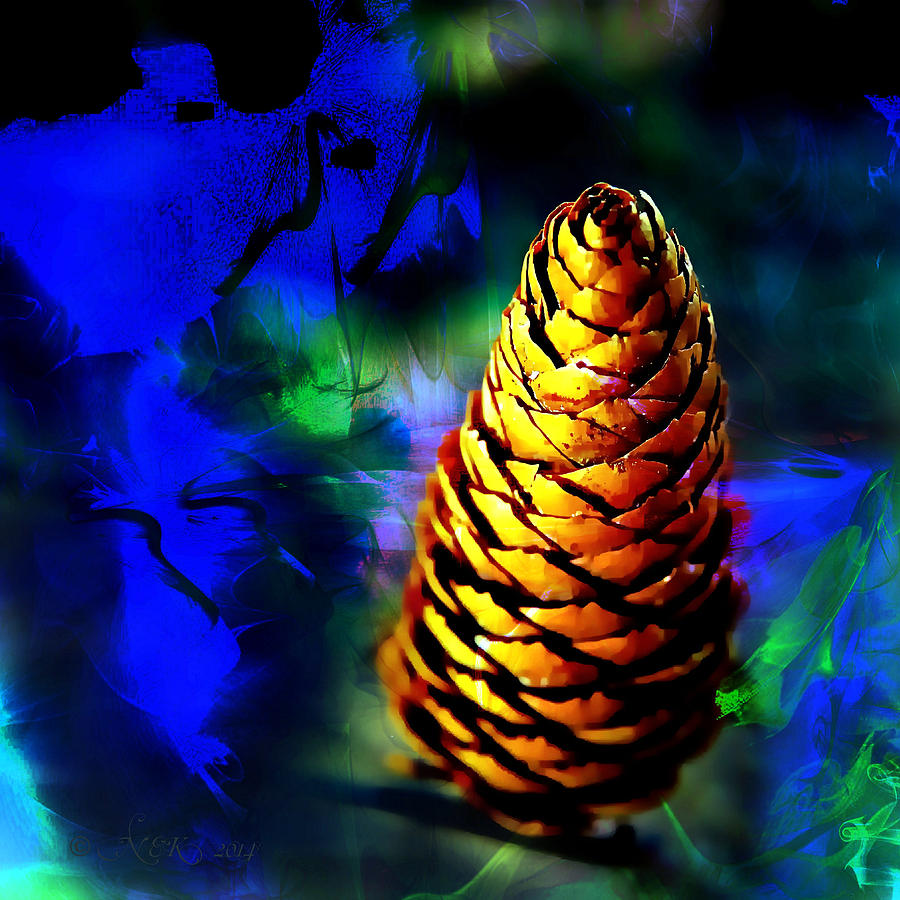 Fir Cone Photograph by Nick Kloepping