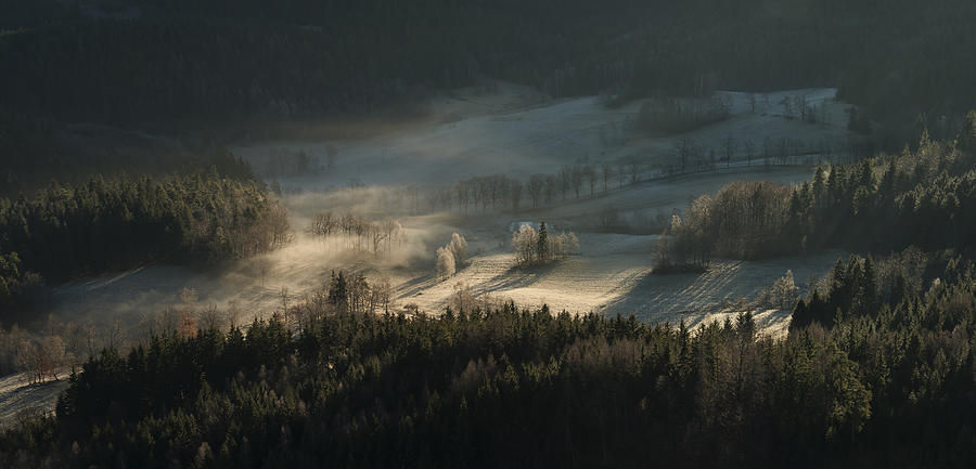 Tree Photograph - Fire And Ice II by Izabela Laszewska-mitrega/darek Mitr?ga