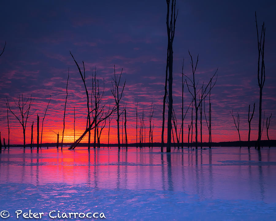 Manasquan Reservoir Photograph - Fire and Ice by Peter Ciarrocca