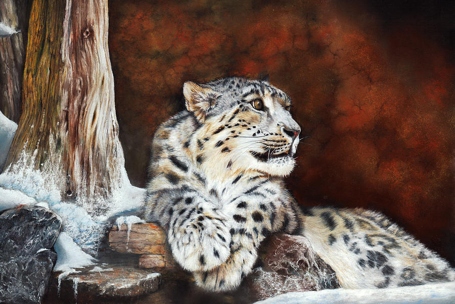 Wildlife Drawing - Fire and Ice by Peter Williams