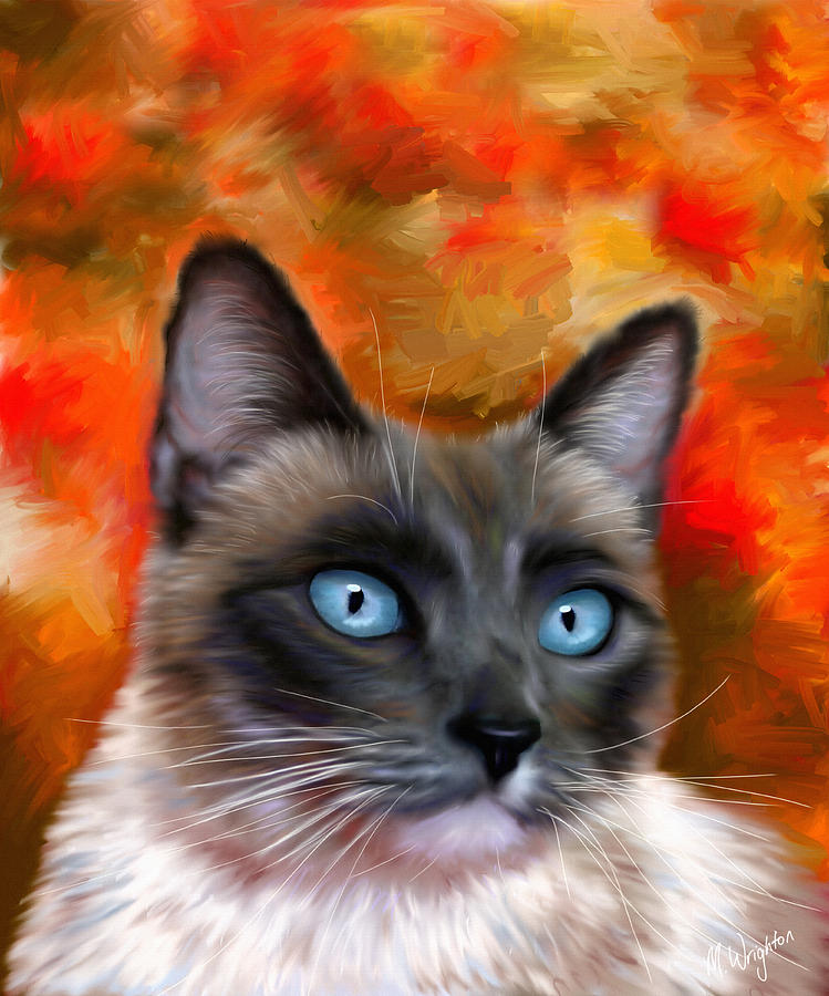 Animal Painting - Fire and Ice - Siamese Cat Painting by Michelle Wrighton