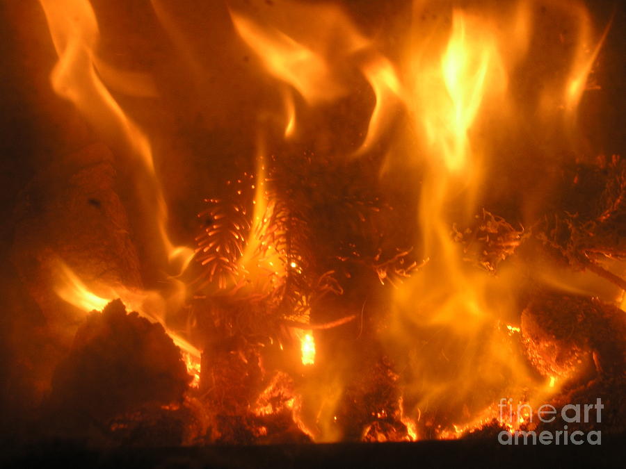 Fire - Burning Love Photograph by Eva-Maria Di Bella