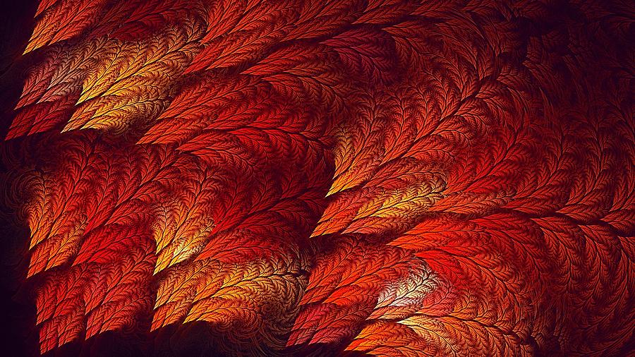 Fire Feather Fractals Digital Art by Doug Morgan