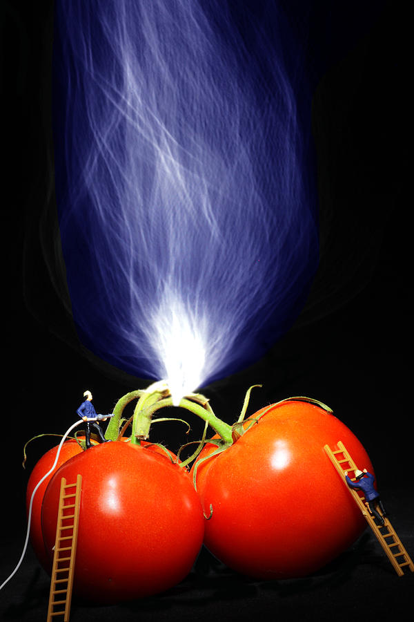 Fire fighting on tomatoes Little People On Food Photograph by Paul Ge