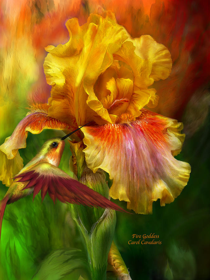 Hummingbird Mixed Media - Fire Goddess by Carol Cavalaris