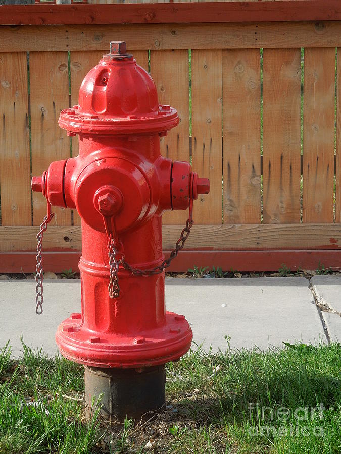 Fire Hydrant 3 Photograph by Richard W Linford