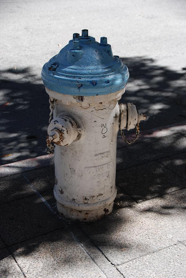 Fire Hydrant Photograph by Eric Tressler