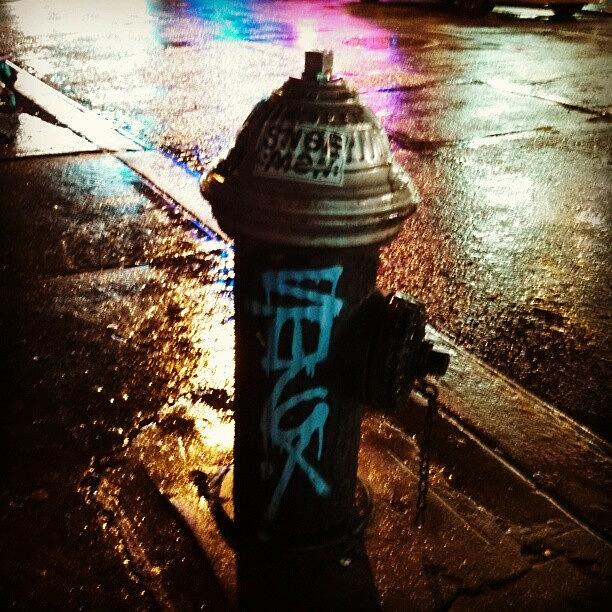 Fire Hydrant In Rain/colors Photograph by Zak Shelby-Szyszko