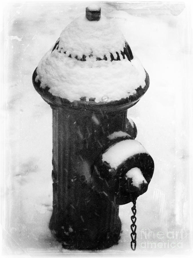 Fire Hydrant in Snow - Life in New York Photograph by Miriam Danar