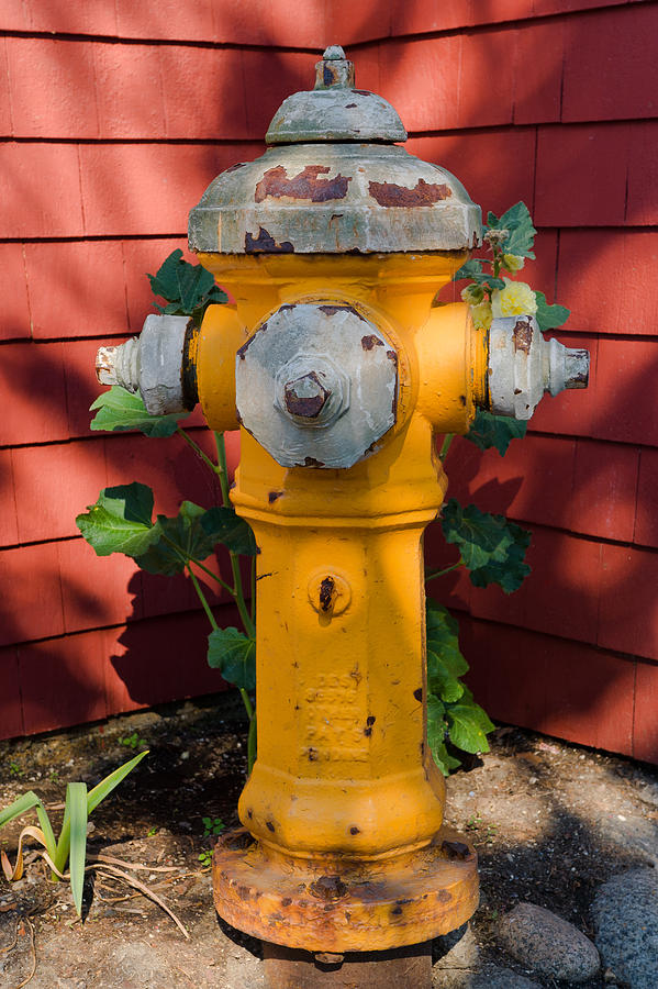 Fire Hydrant Photograph by Jean-Pierre Ducondi