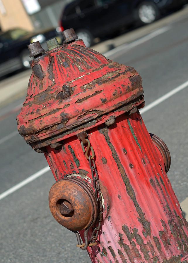 City Photograph - Fire Hydrant by Lisa Phillips