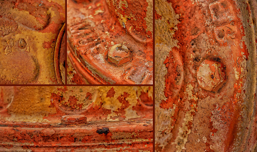 Abstract Photograph - Fire Hydrant Quadtych by Nikolyn McDonald