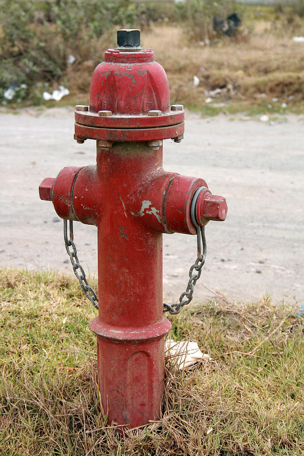 Fire Hydrant Photograph by Robert Hamm - Fine Art America