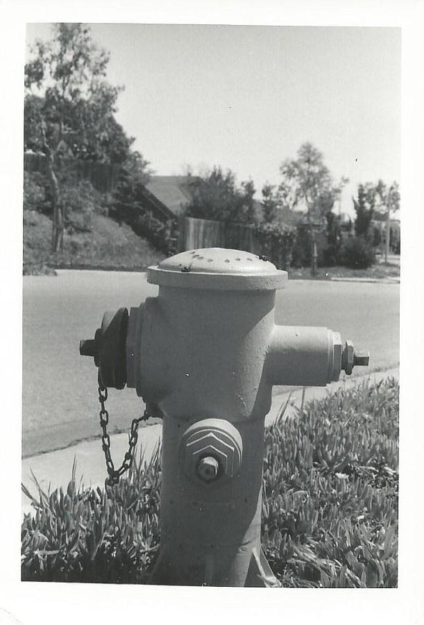 Fire Hydrant Photograph by Robin Vargo - Fine Art America