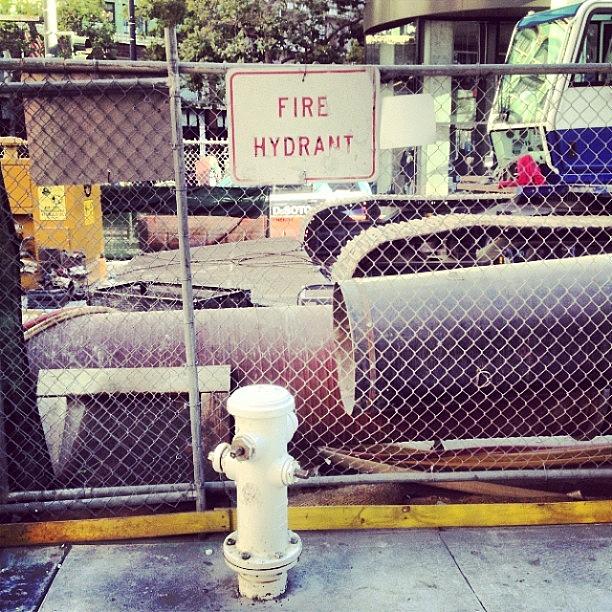 Fire Hydrant Where Photograph by Lynn Friedman