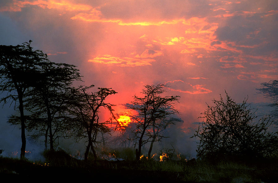 Fire In Kenya At Sunset Photograph by Jean-Paul Ferrero/Jean-Michel Labat