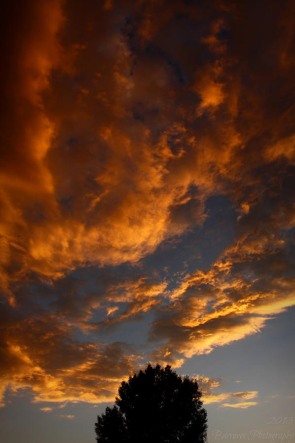 Fire in the Clouds Photograph by Aaron Burrows