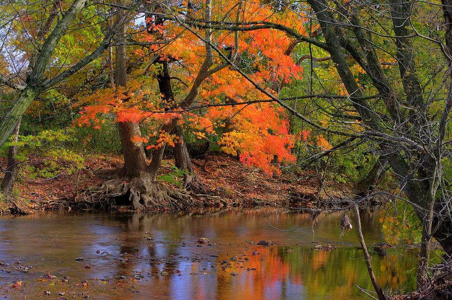 Fire in the Creek A1 - Owens Creek Near Loys Station Covered Bridge - Autumn Frederick County MD Photograph by Michael Mazaika