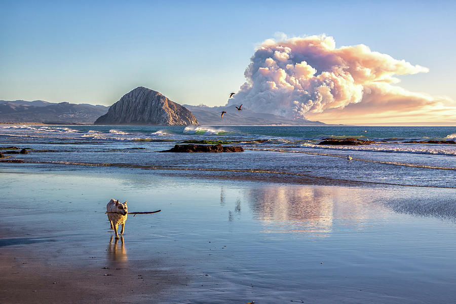 Fire In The Distance Photograph by Mimi Ditchie Photography