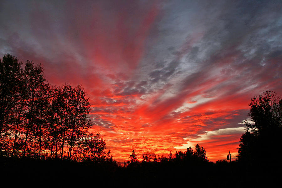 Fire in the Sky Photograph by Barbara West