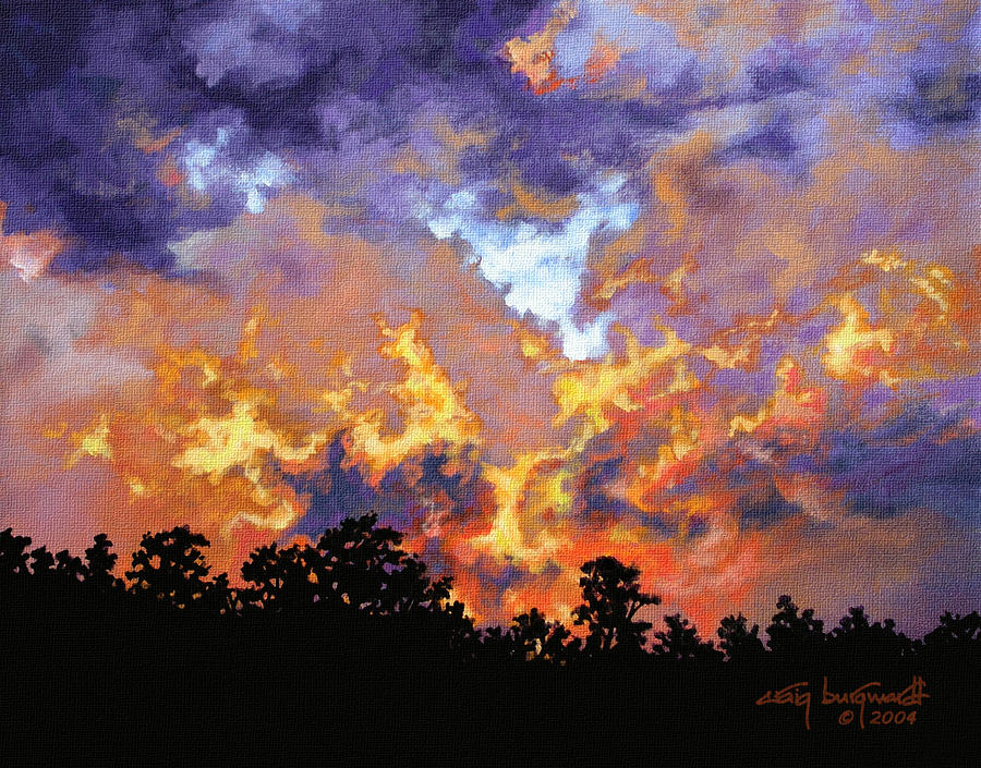 Fire in the Sky Painting by Craig Burgwardt
