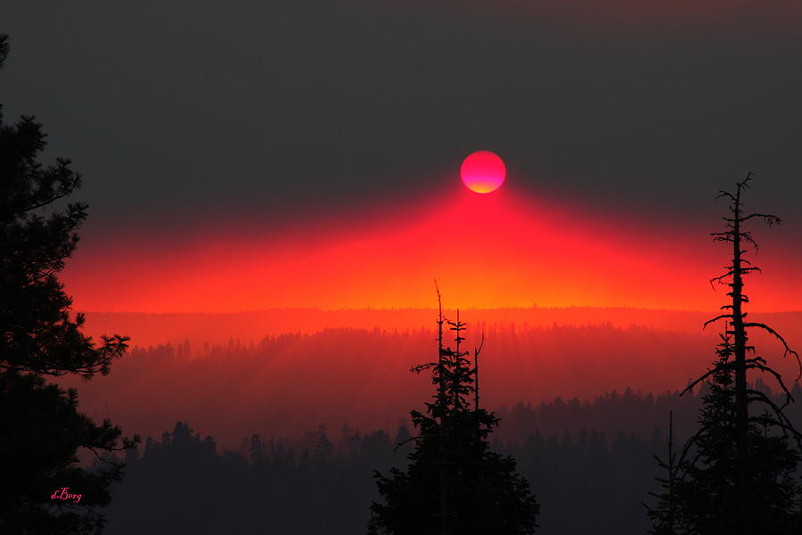 Fire in the Sky Photograph by Douglas Berg