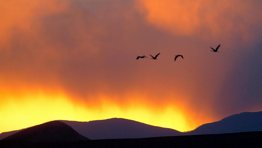 Fire in the Sky Photograph by Jack Nevitt