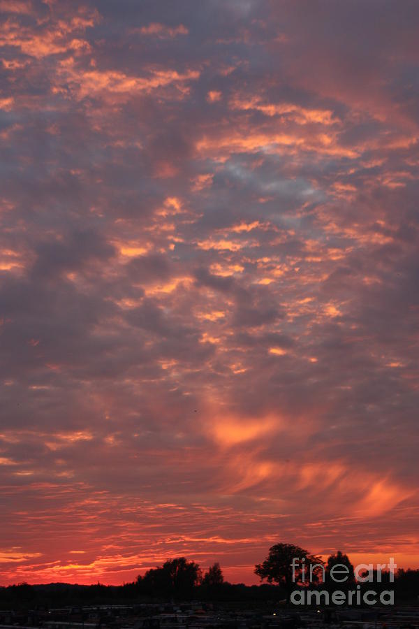 Fire in the sky Photograph by Linsey Williams