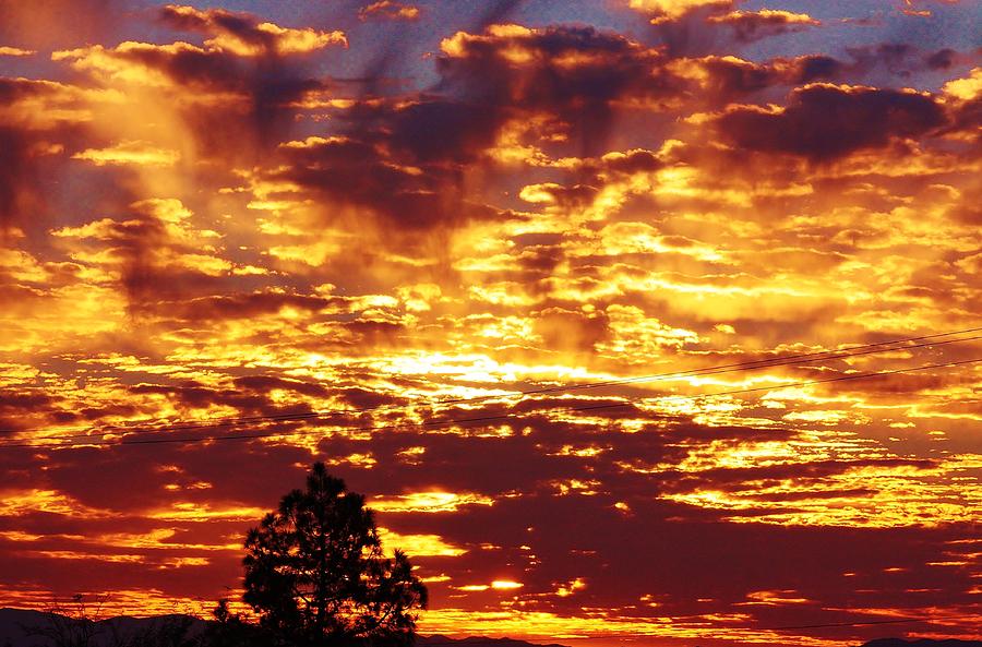 Fire in the Sky Photograph by Marcia Breznay