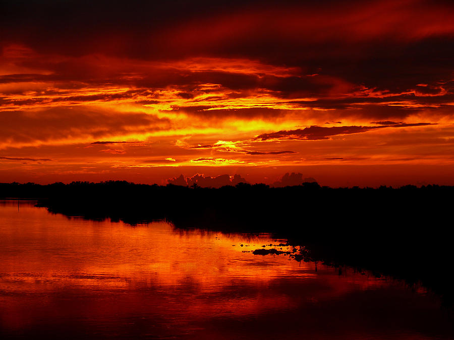 Fire in the Sky Photograph by Susan Duda