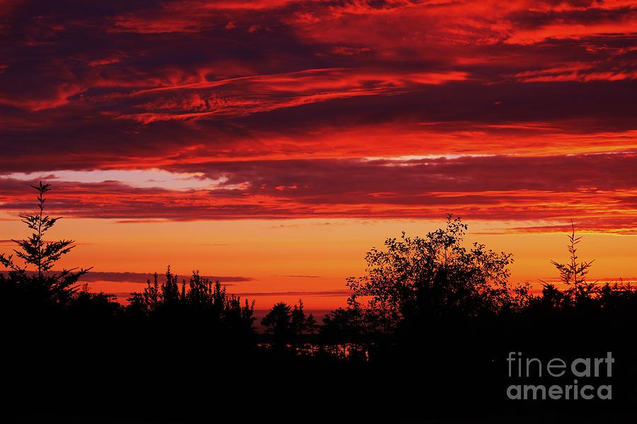 Sunset Photograph - Fire In The Skyy by Michael Goff