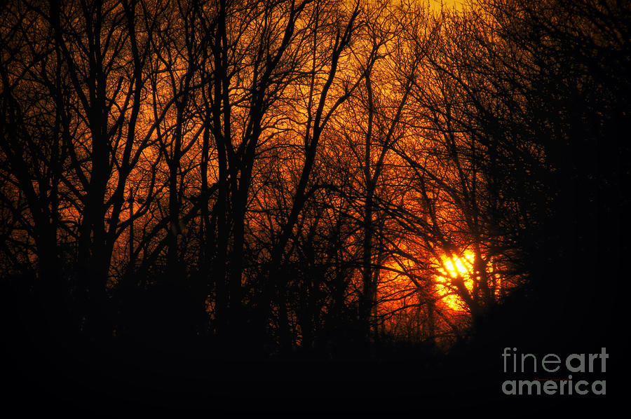 Fire In the Woods Sunset Photograph by Thomas Woolworth
