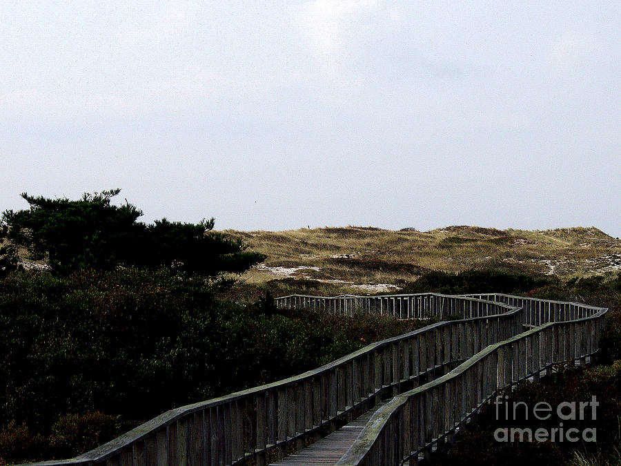 Fire Island Boardwalk Photograph by Kim McDougall | Pixels