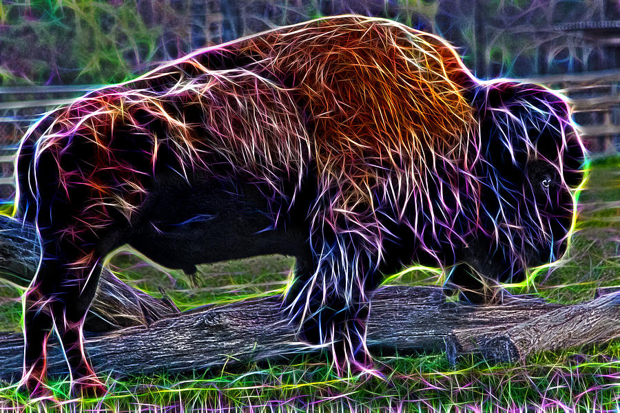 Animal Photograph - Fire Of A Bison  by Miroslava Jurcik