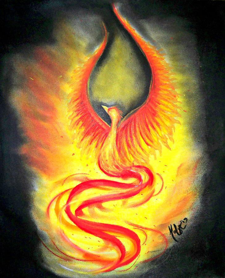 Phoenix Drawing - Fire Phoenix by Madelyn Mershon