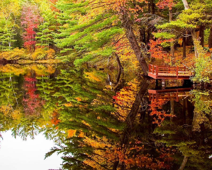 Fall Photograph - Fire pond foliage reflection by Jeff Folger