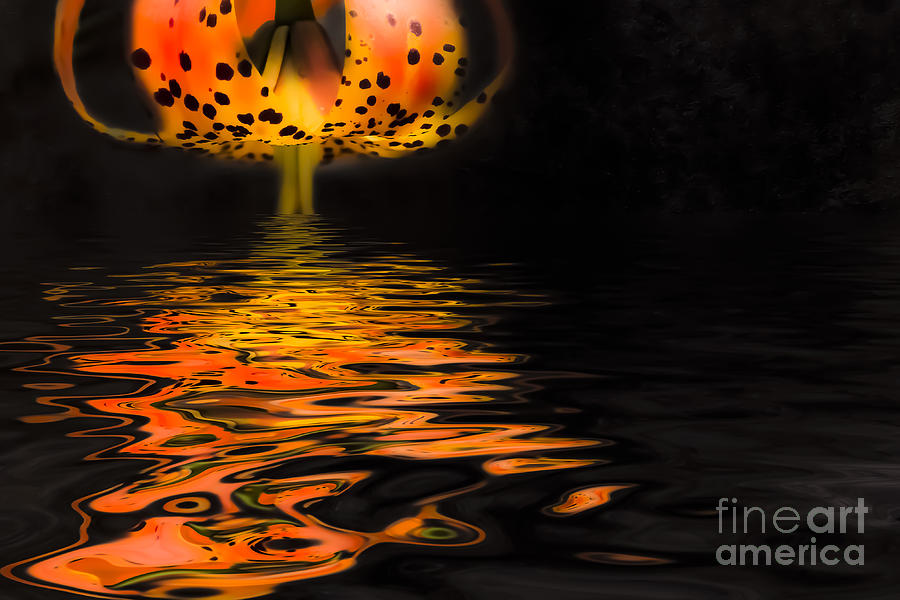 Fire Reflections Photograph by Marilyn Cornwell