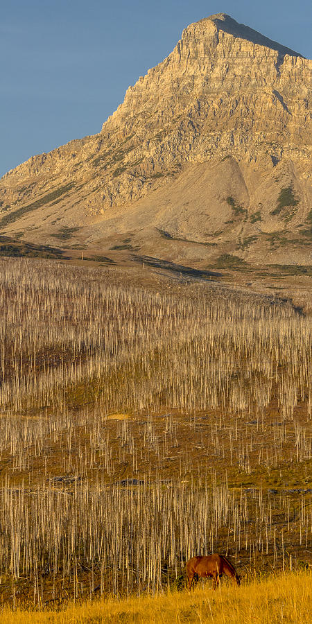 Fire-scarred Rockies  -  120927A-056 Photograph by Albert Seger