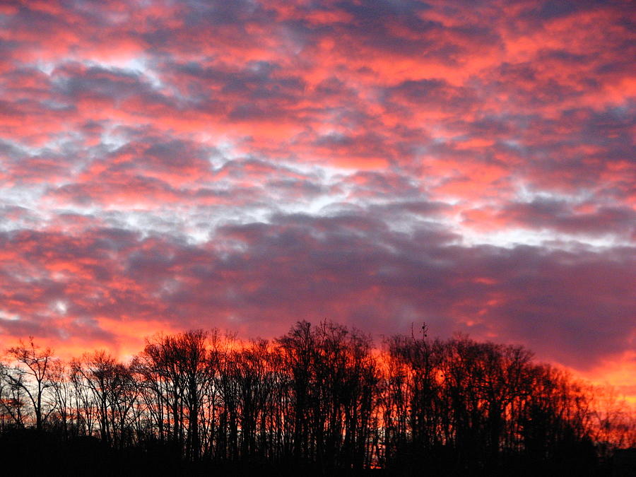 Fire Sky Asheville Photograph by Cleaster Cotton