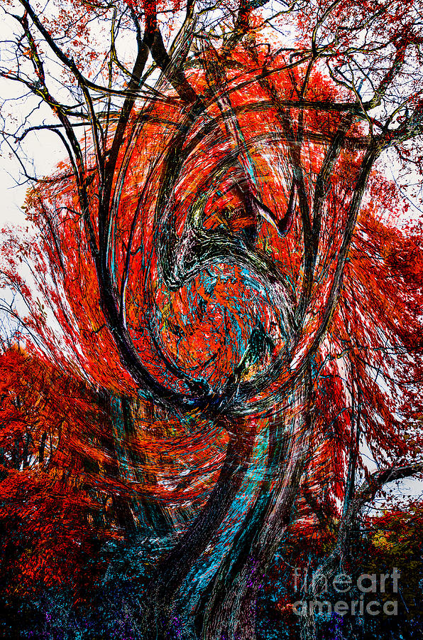 Fire Tree Photograph by Michael Arend