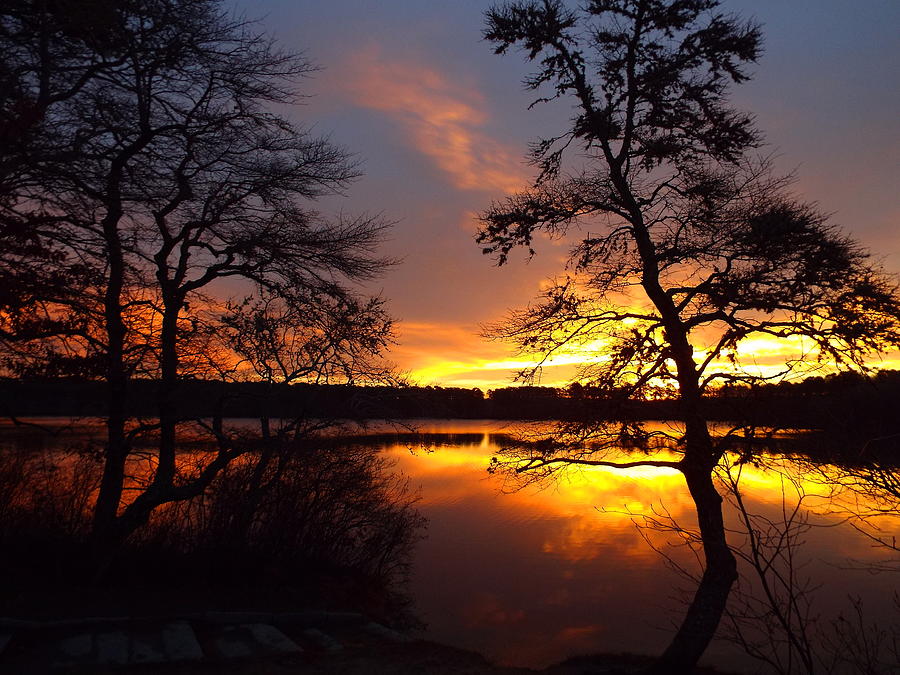 Sunrise Fire - Slough Pond Photograph by Dianne Cowen Cape Cod Photography