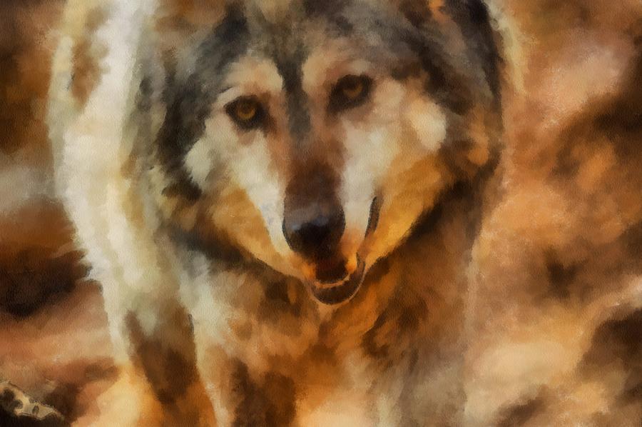 Fire Wolf Digital Art by Ernest Echols