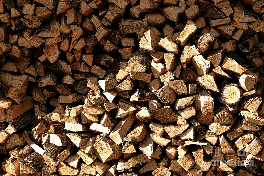 Firewood Photograph by Olivier Le Queinec
