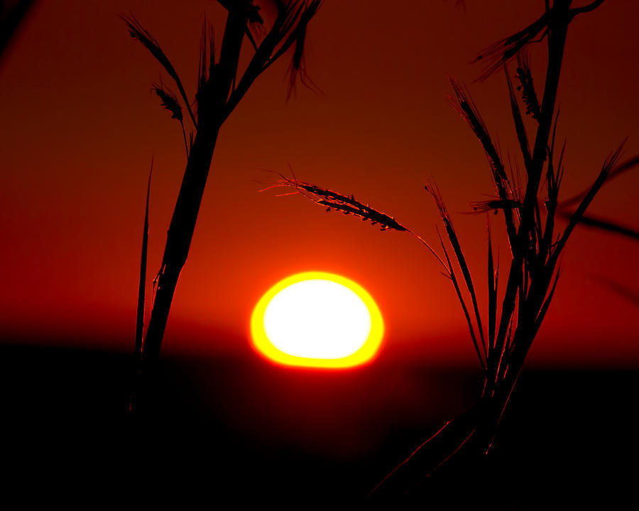 Fireball Sunset Photograph by Mark Andrew Thomas