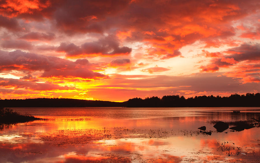 Lake Sunset Photograph - Firecracker by Shell Ette