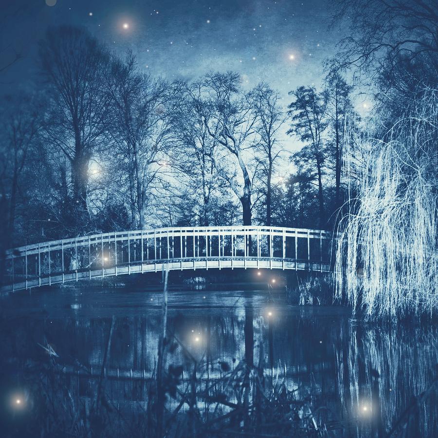 Fantasy Photograph - Fireflies by Studio Yuki